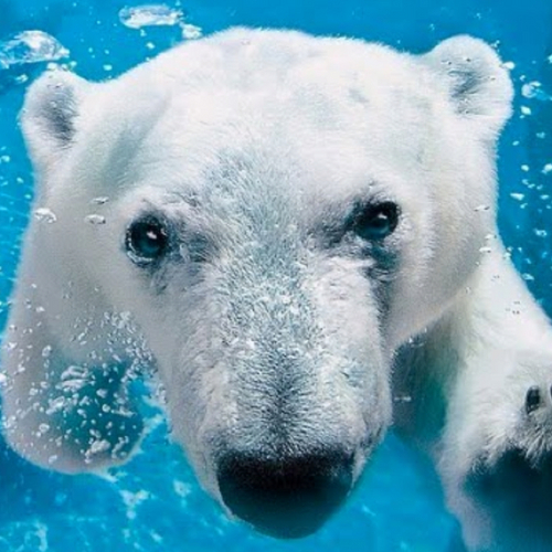 잠시 살았다는 걸